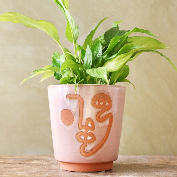 Terracotta Gezicht Potje - Groot