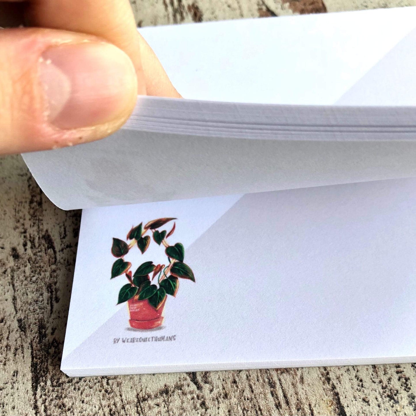Notepad - Philodendron Micans