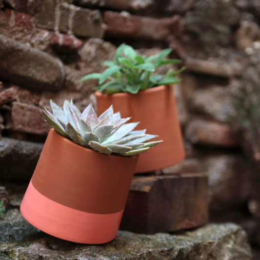 Voltasol Mini - Roze