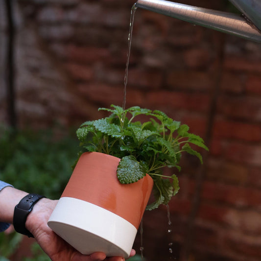 Voltasol Mini - Wit