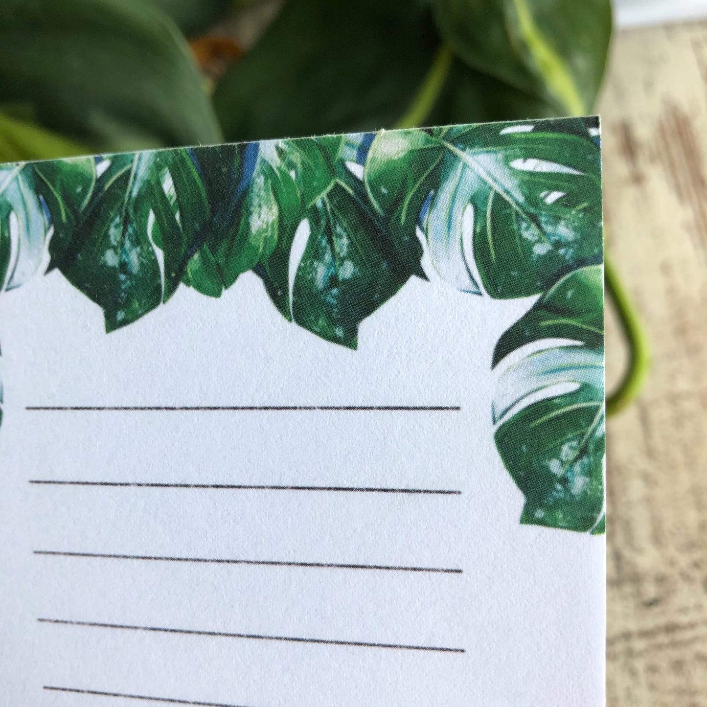 Notepad - Monstera Variegata A7