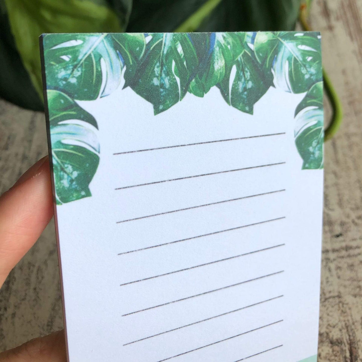 Notepad - Monstera Variegata A7