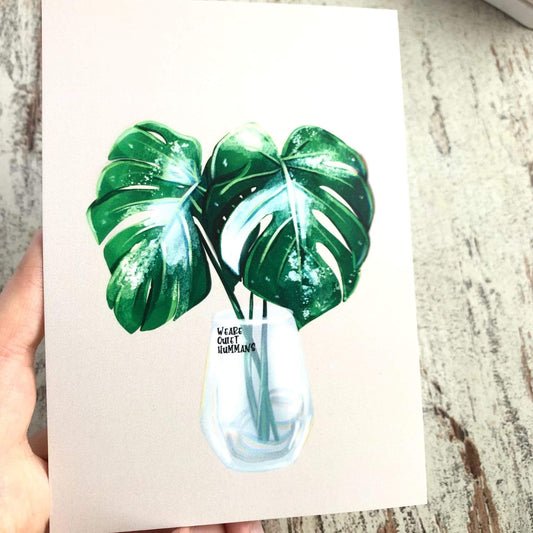 Postkaart - Monstera Variegata