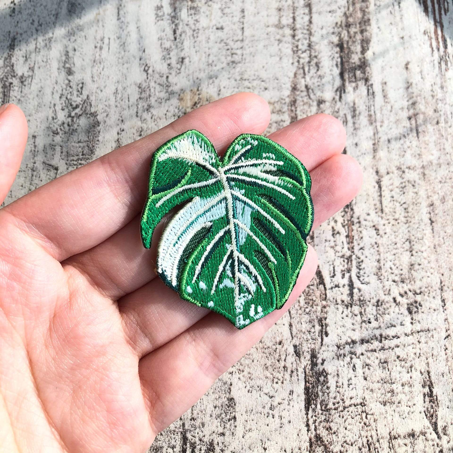 iron on patch - monstera variegata