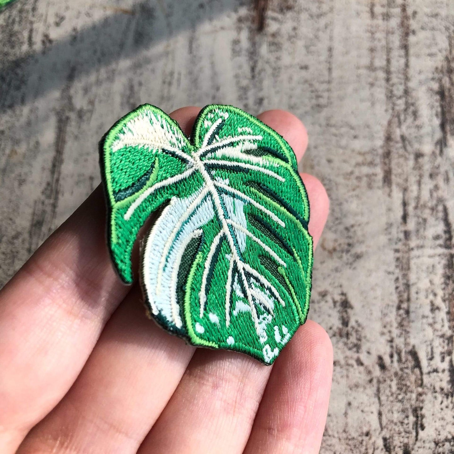 iron on patch - monstera variegata