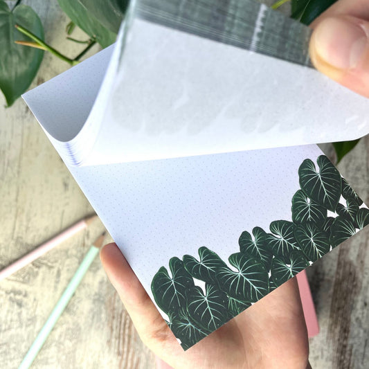 Notitieblokje - Philodendron Gloriosum A6