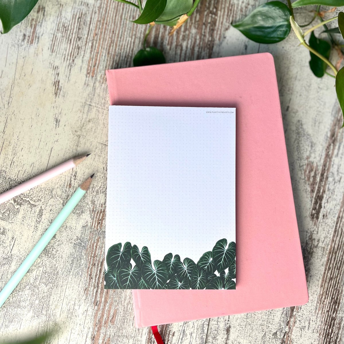 Notepad - Philodendron Gloriosum A6