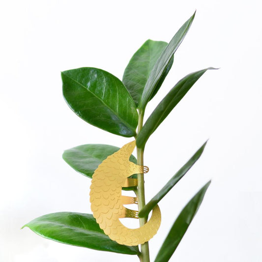 Plantendiertje - Schubdier