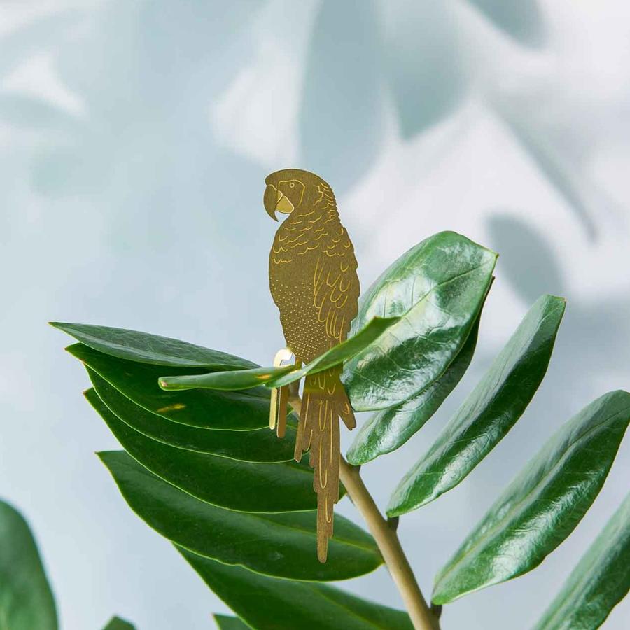 Plant Animal - Parrot