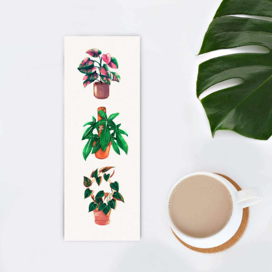 bladwijzer planten jungle plantlover
