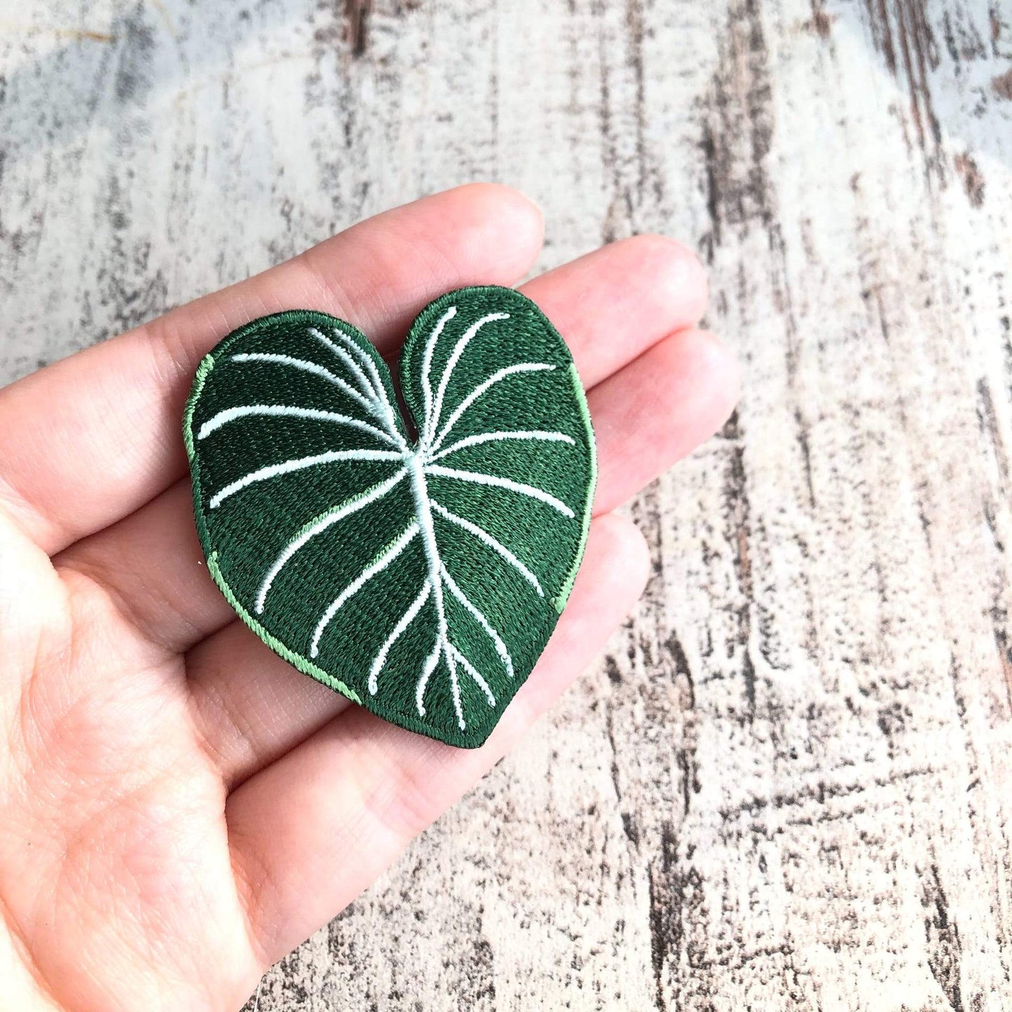 Iron On Patch - Philodendron Gloriosum