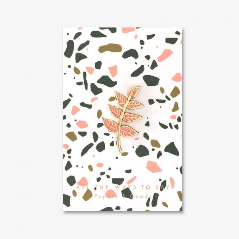 pin plant plants planten badge cactus vetplant succulent
