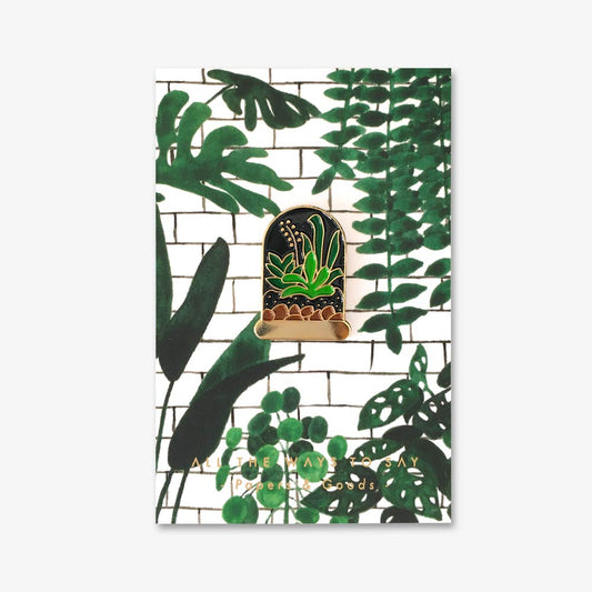 pin plant plants planten badge cactus vetplant succulent