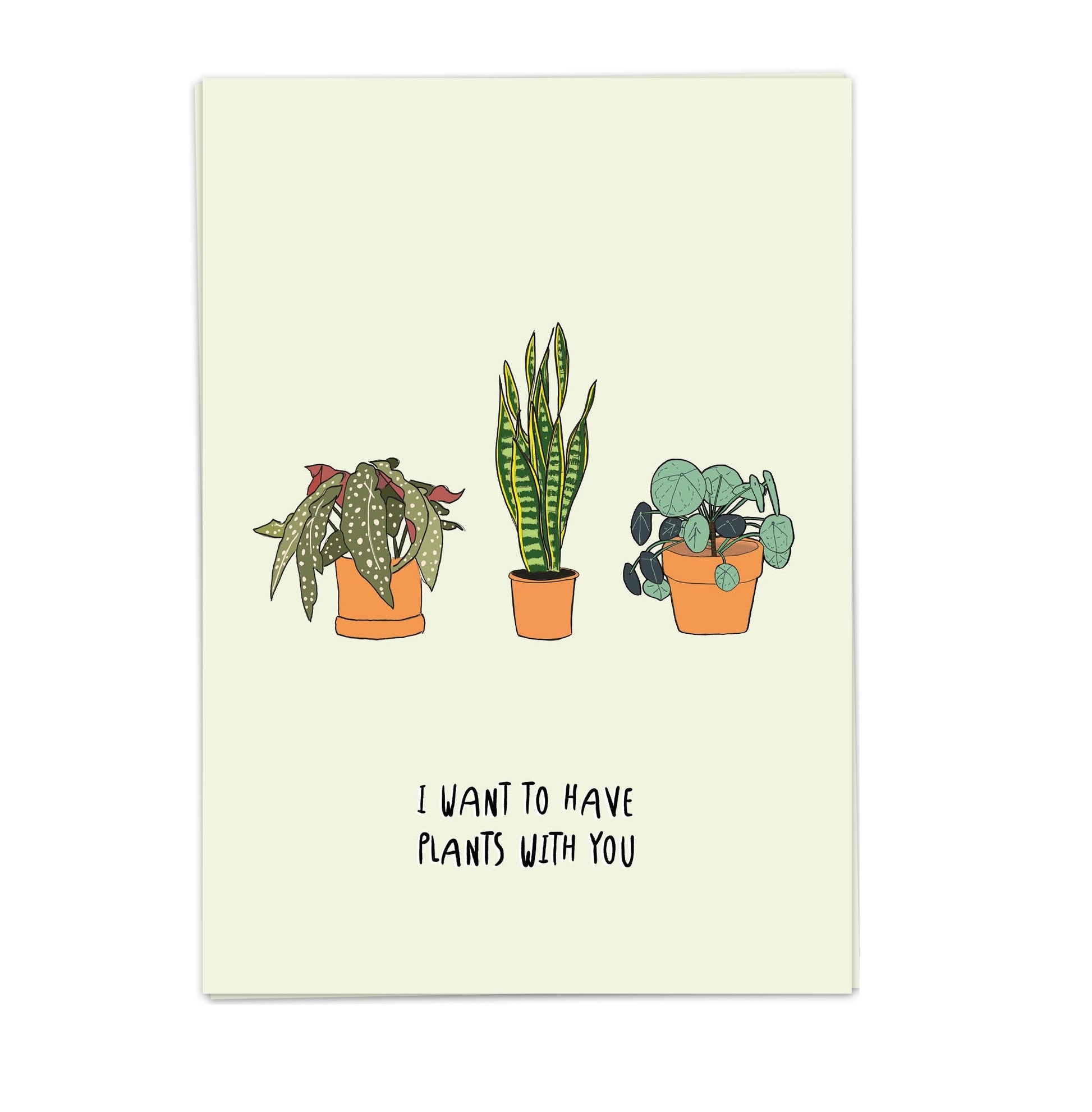 kaartje cactus planten plantlover plantenliefhebber plants 