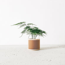 Load image into Gallery viewer, Planter Japan 8,5cm
