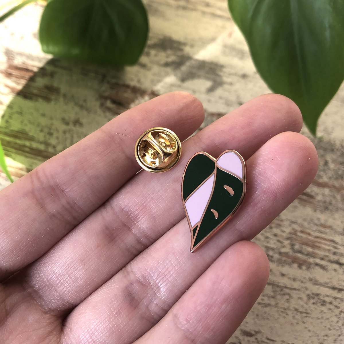 Pin - Philodendron Pink Princess