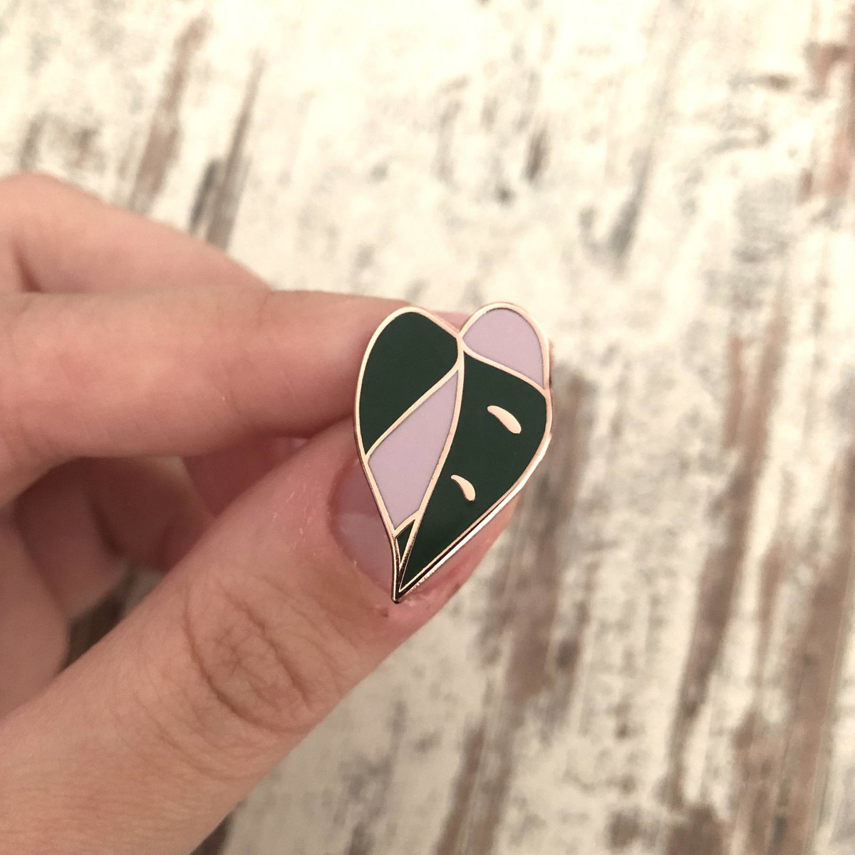 Pin - Philodendron Pink Princess