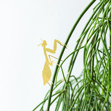 Load image into Gallery viewer, Plant Animal - Praying Mantis
