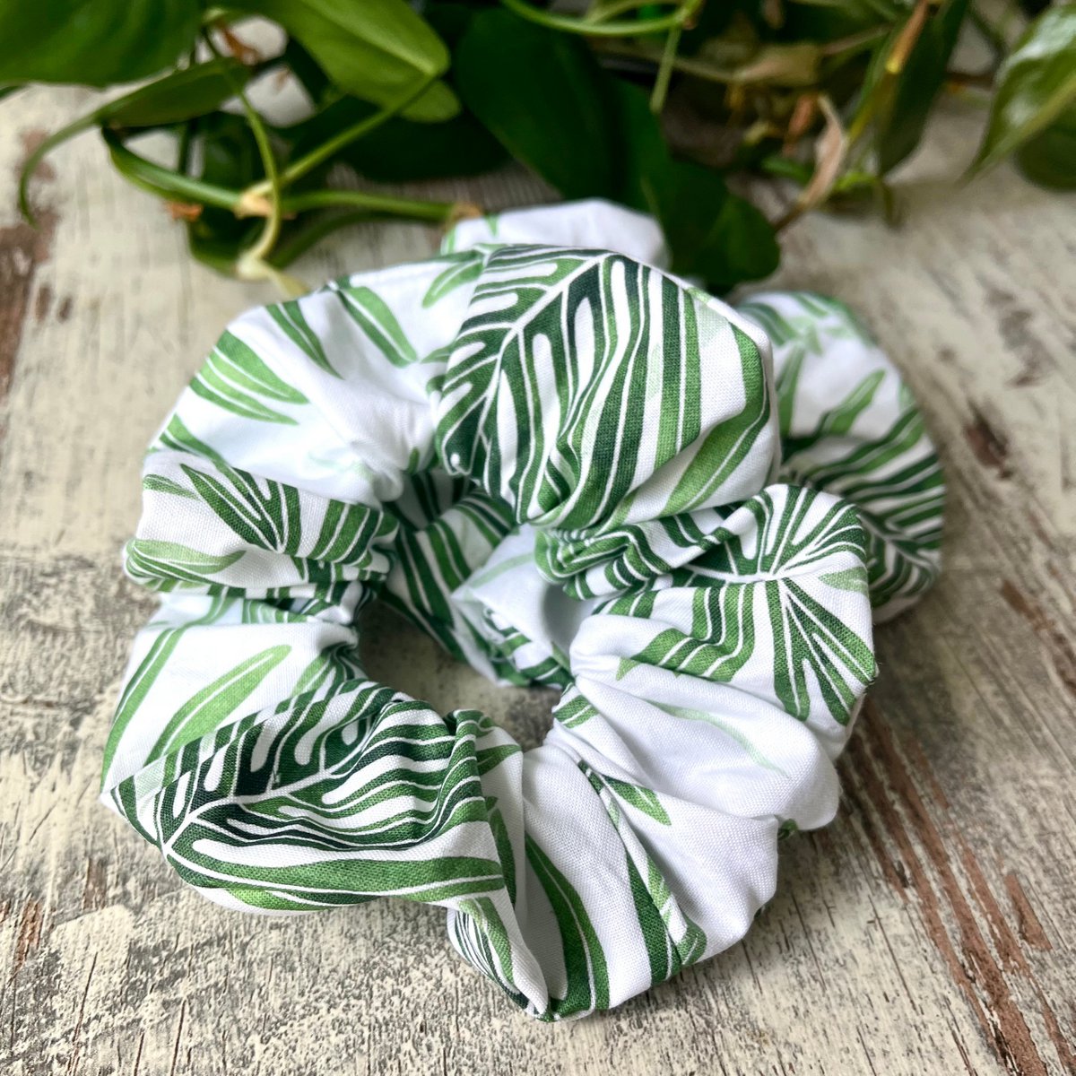 Scrunchie - Philodendron Radiatum