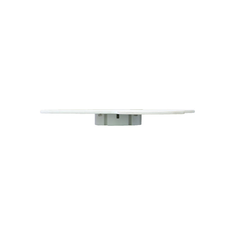 Houten Muurlamp Cactus