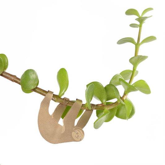 Plantendiertje - Luiaard