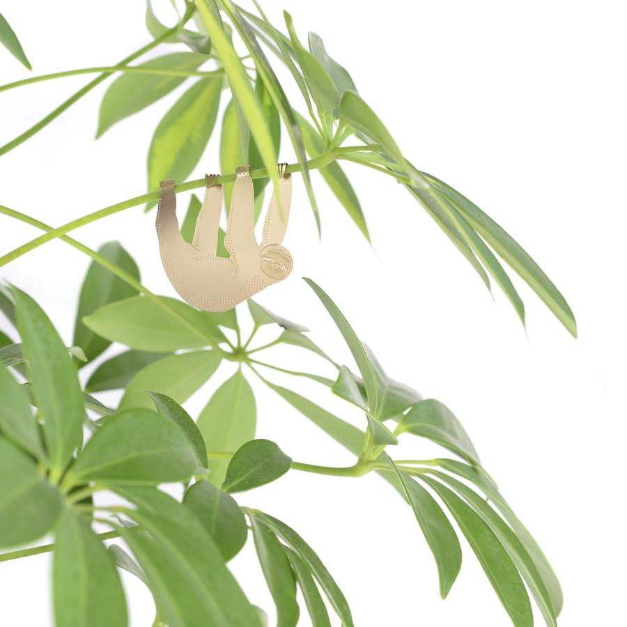 Plantendiertje - Luiaard
