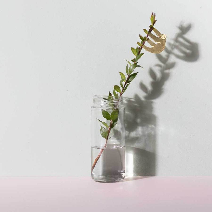 Plantendiertje - Luiaard