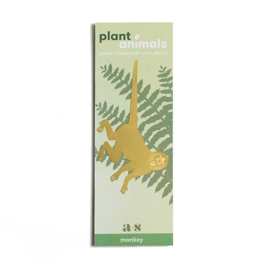 Plantendiertje - Slingeraap