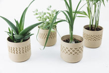 Load image into Gallery viewer, Planter Set - Stamp Beige

