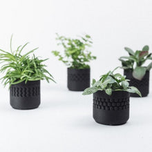 Load image into Gallery viewer, Planter Set - Stamp Black
