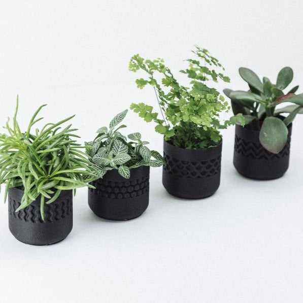 Potjes Set - Stamp Zwart