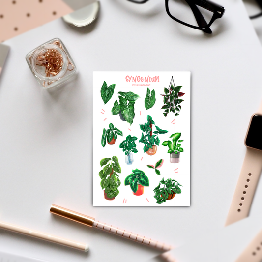 Stickervel - Syngonium
