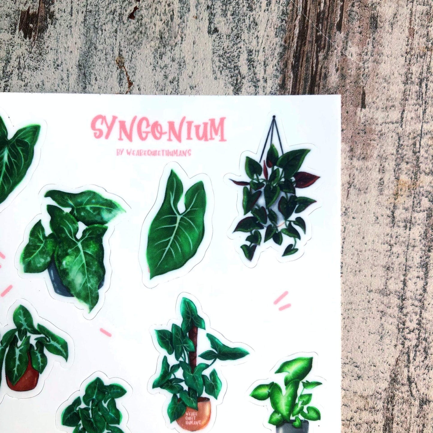Stickervel - Syngonium