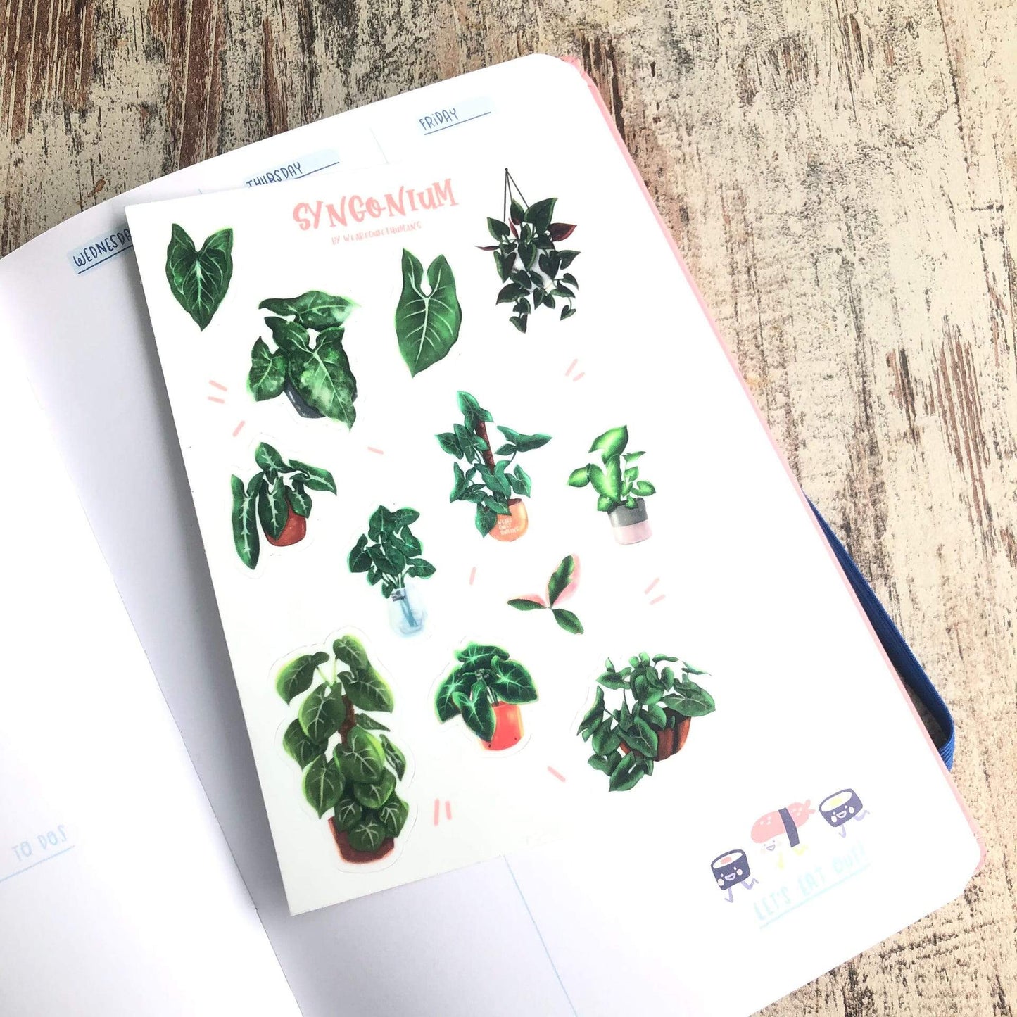 Stickervel - Syngonium