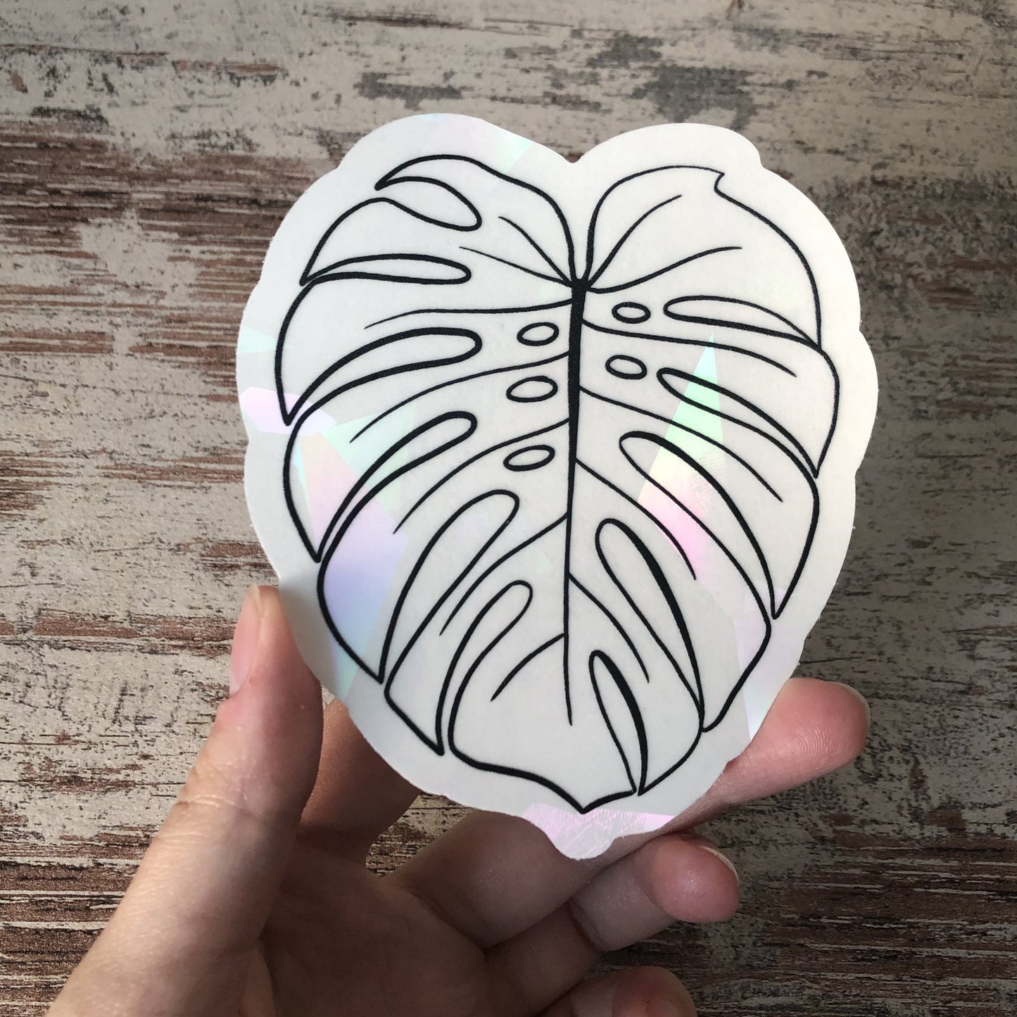 Regenboog Sticker - Monstera