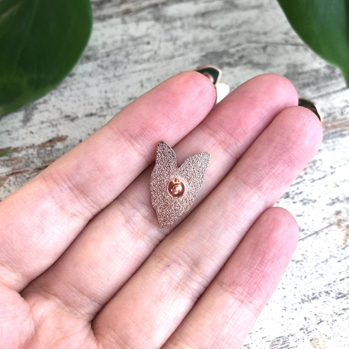 Pin - Syngonium