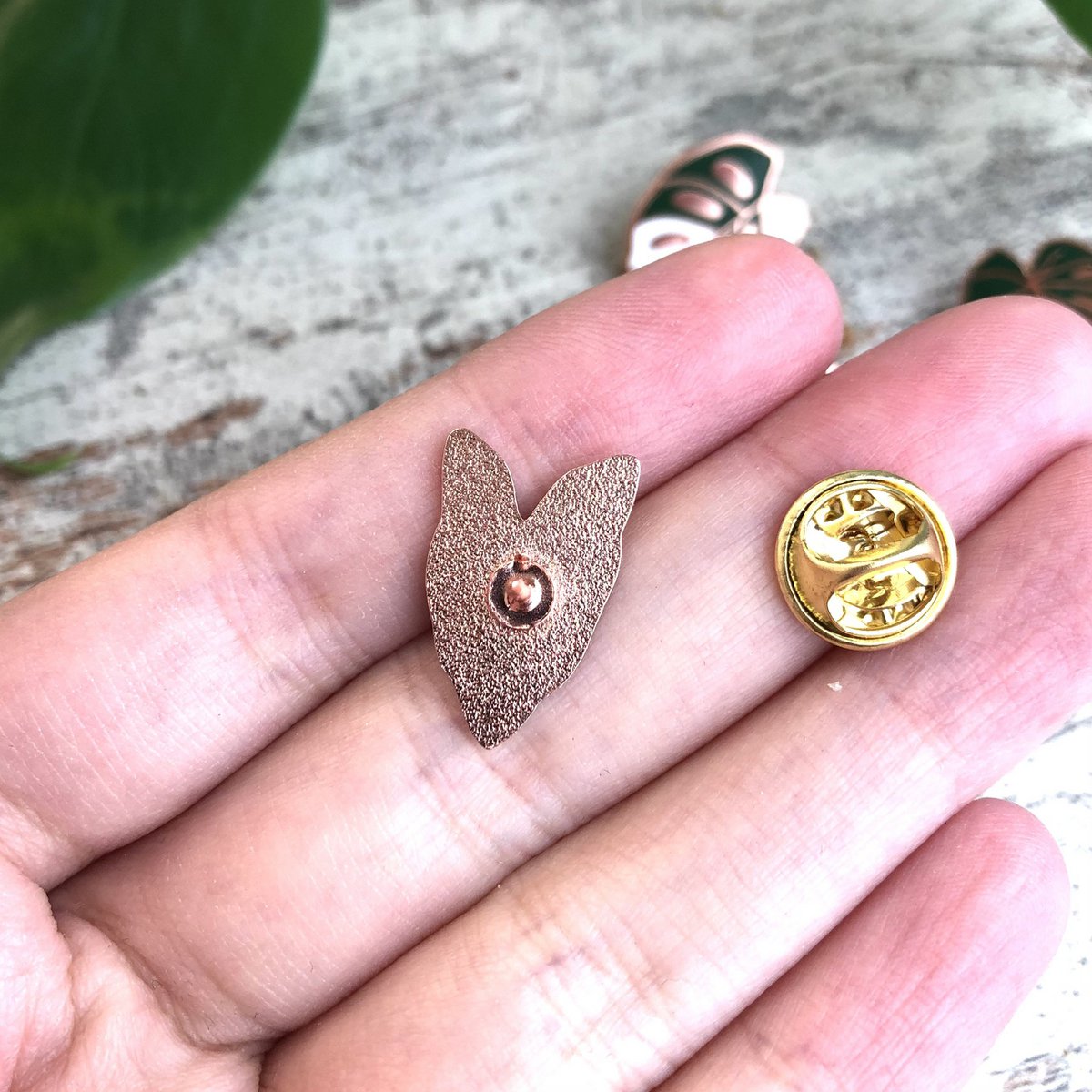 Pin - Syngonium