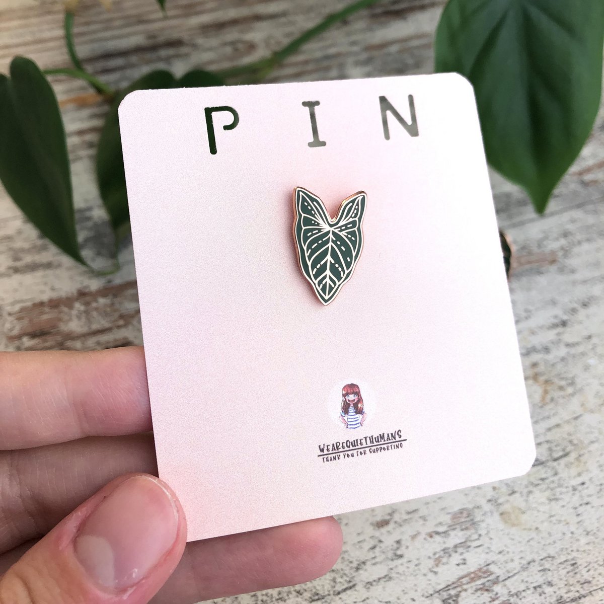 Pin - Syngonium