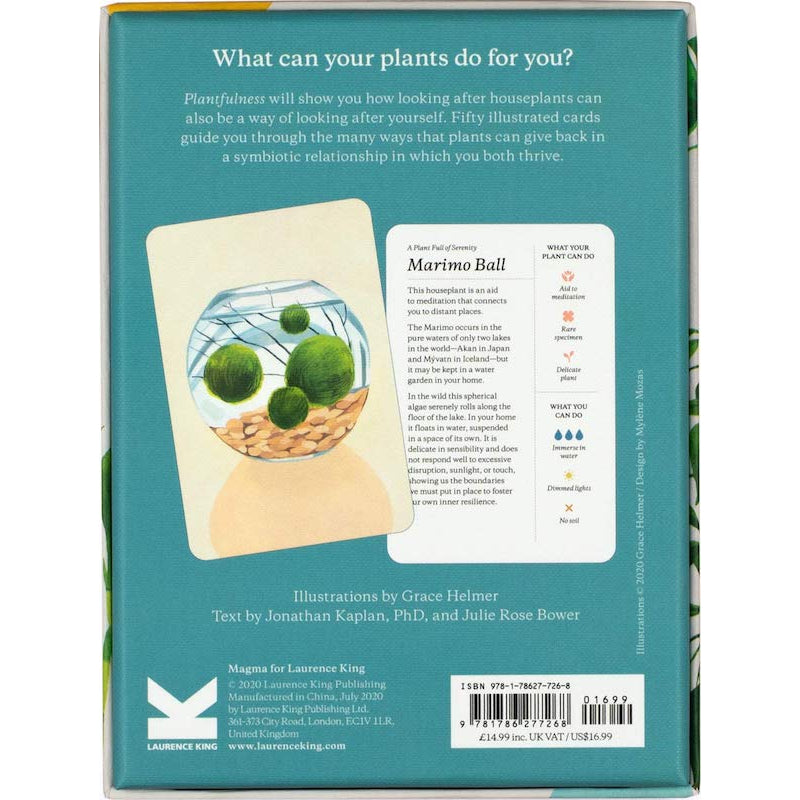 Plantfulness - EN